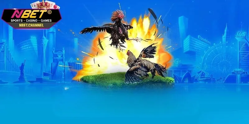 Giải đáp chi tiết về định nghĩa của hình thức cá cược đá gà tre
