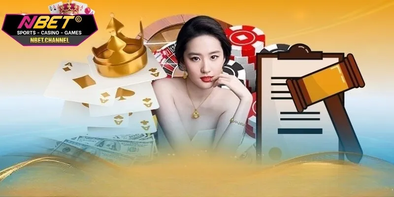 điều khoản sử dụng NBET là gì?